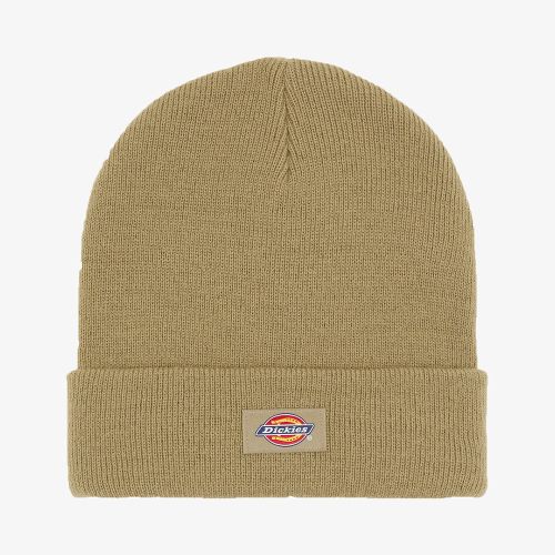 Dickies Gibsland Beanie