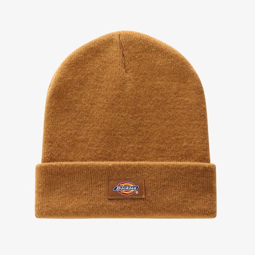 Dickies Gibsland Beanie