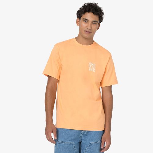 Dickies Cresswell T-shirt