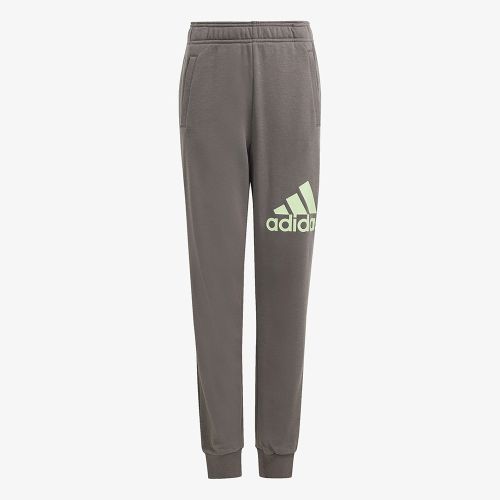 Adidas Big Logo Pant