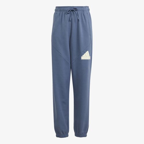 Adidas Future Icons Logo Pants