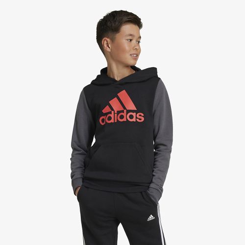 Adidas Essentials Big Logo Colorblock Hoodie