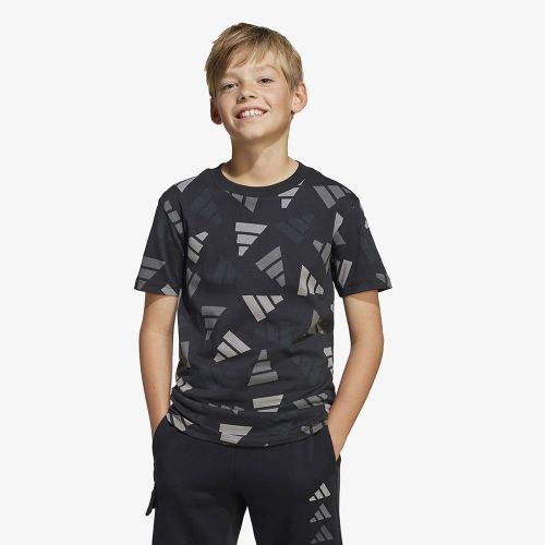 Adidas Seasonal Essentials Logo Celebration Tee