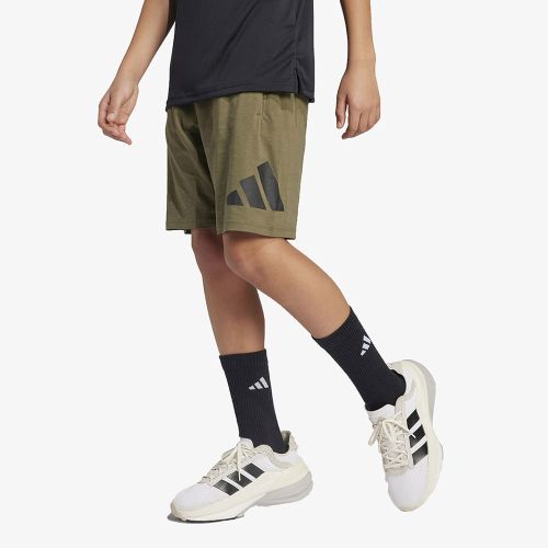 Adidas Big Logo Shorts
