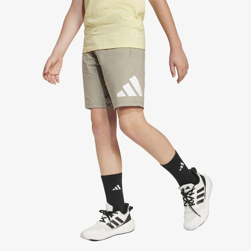 Adidas Sportswear Essentials Big Logo Shorts
