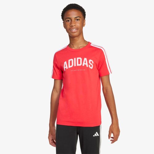 Adidas Codes Collegiate Graphic T-Shirt