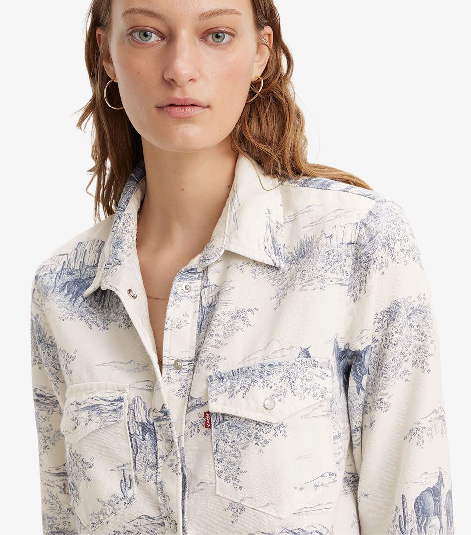 Levi's® Iconic Western Neutrals