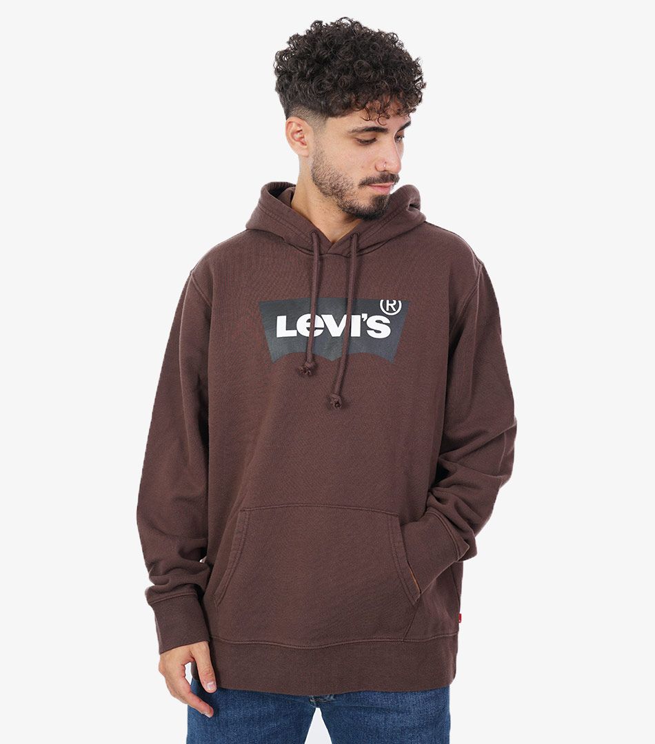 Levi's® Standard Graphic Hoodie