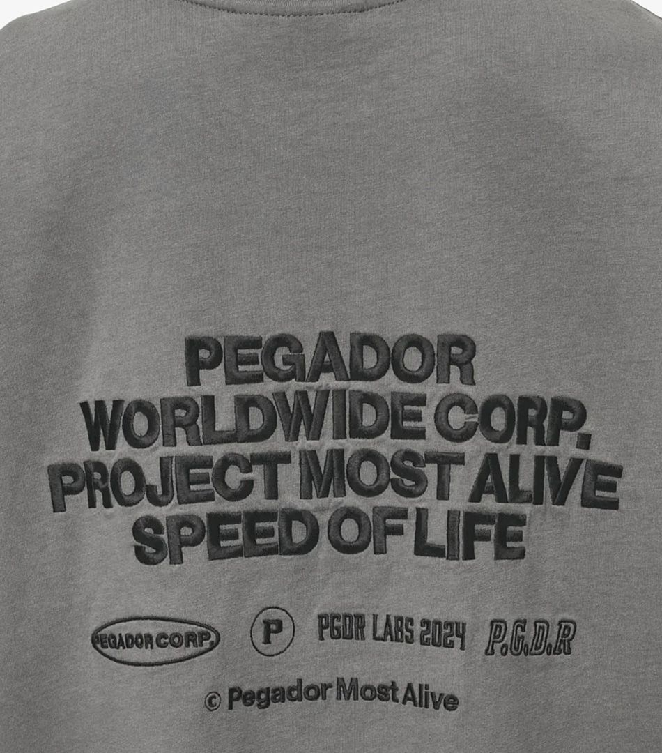Pegador Sora Heavy Oversized Tee