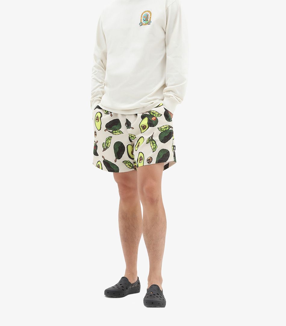 Vans Primary Print Elastic Boardshort