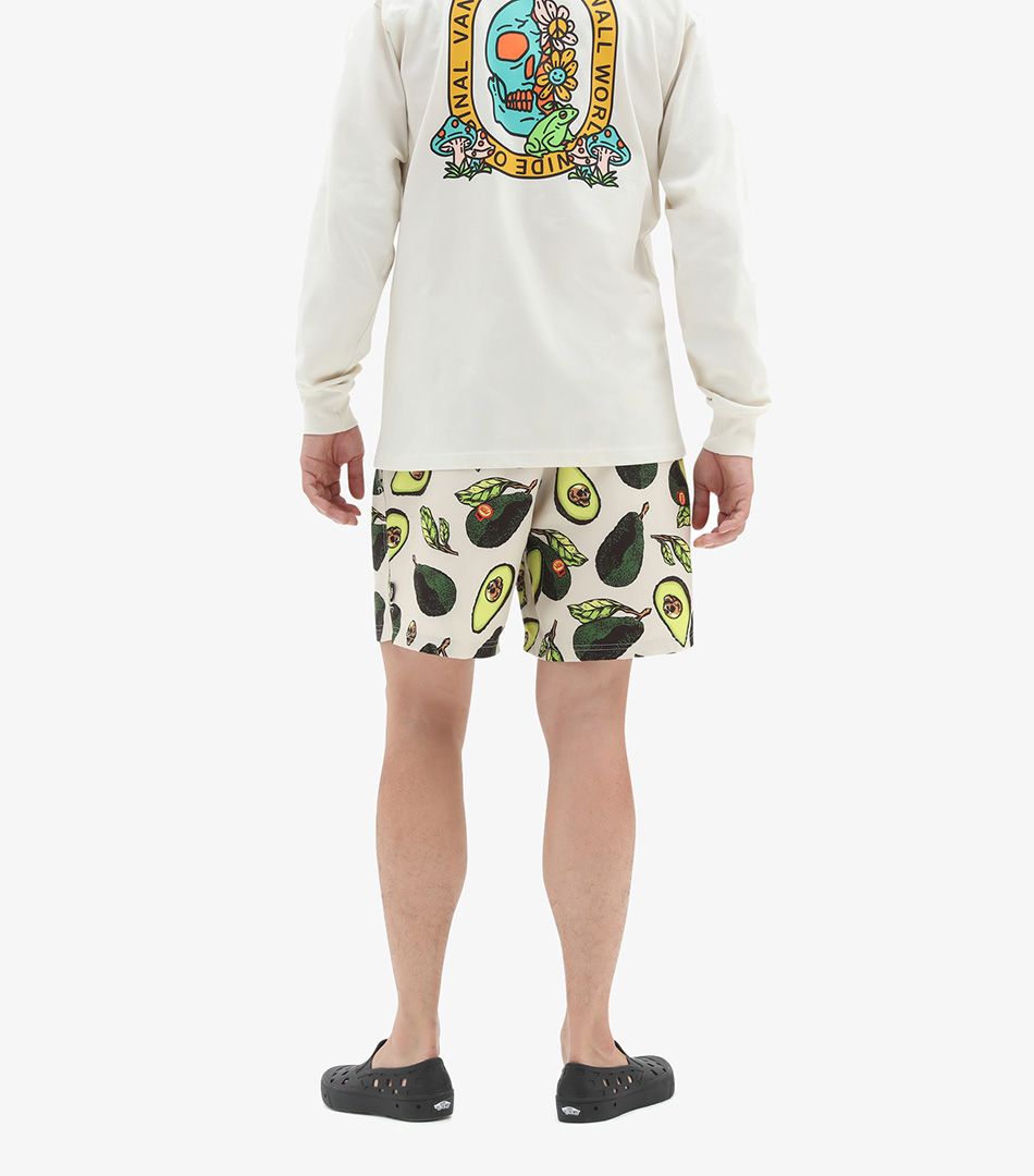 Vans Primary Print Elastic Boardshort