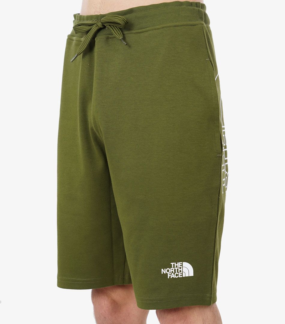 The North Face Graphic Light Short