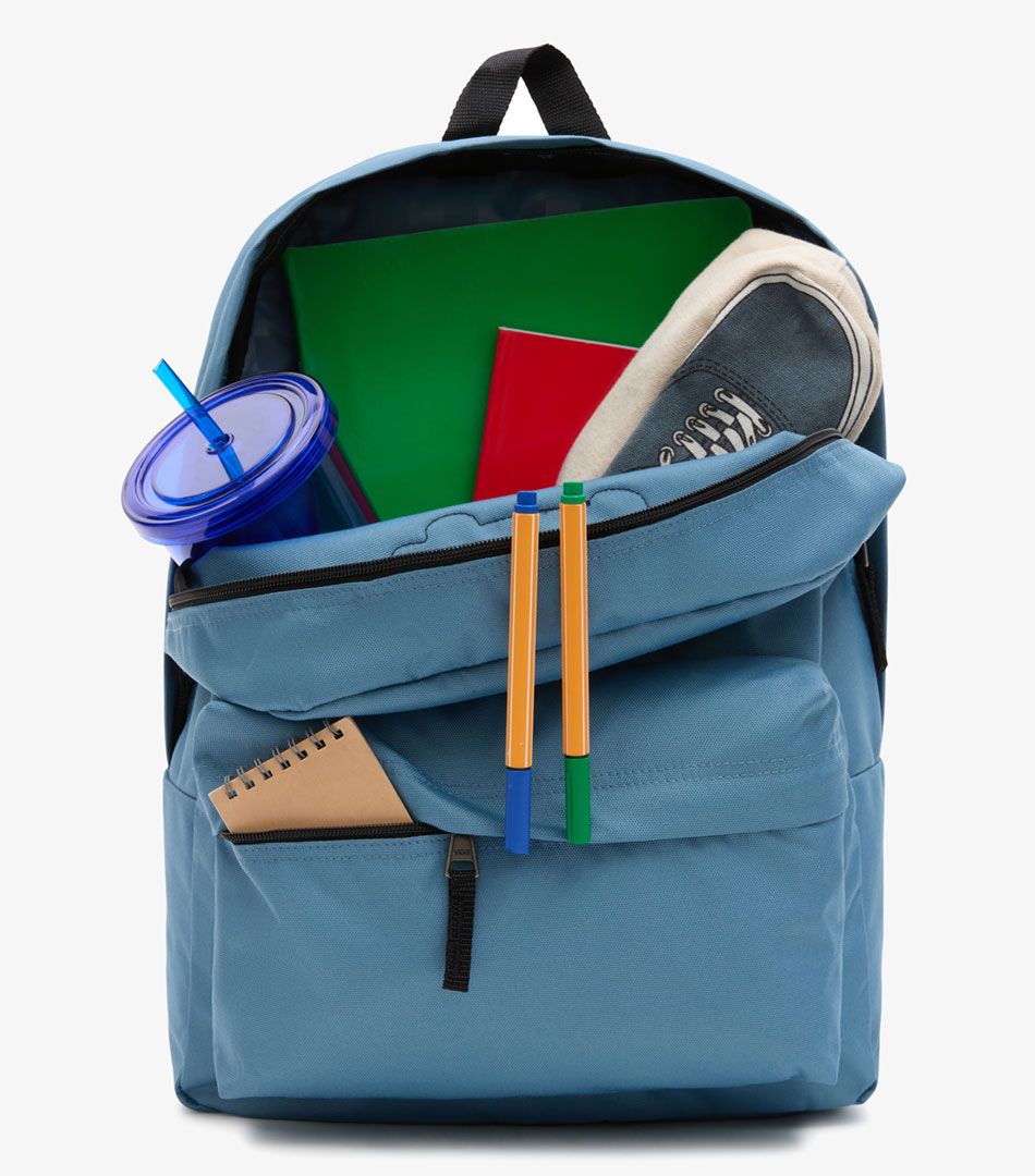 Vans Realm Backpack