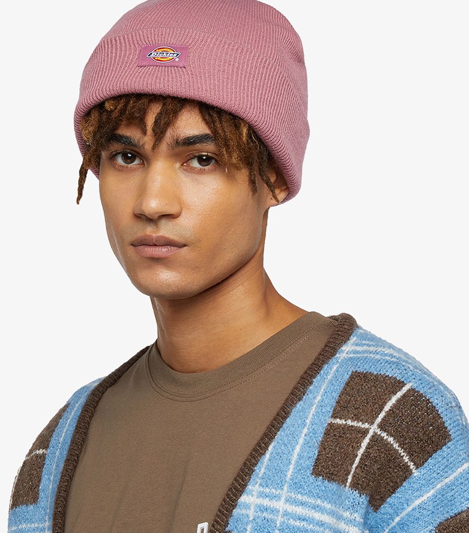 Dickies Gibsland Beanie