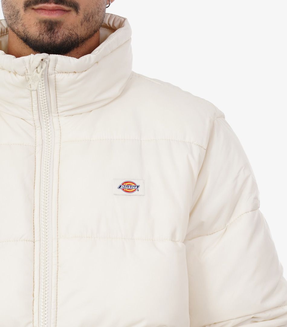 Dickies Waldenburg Jacket