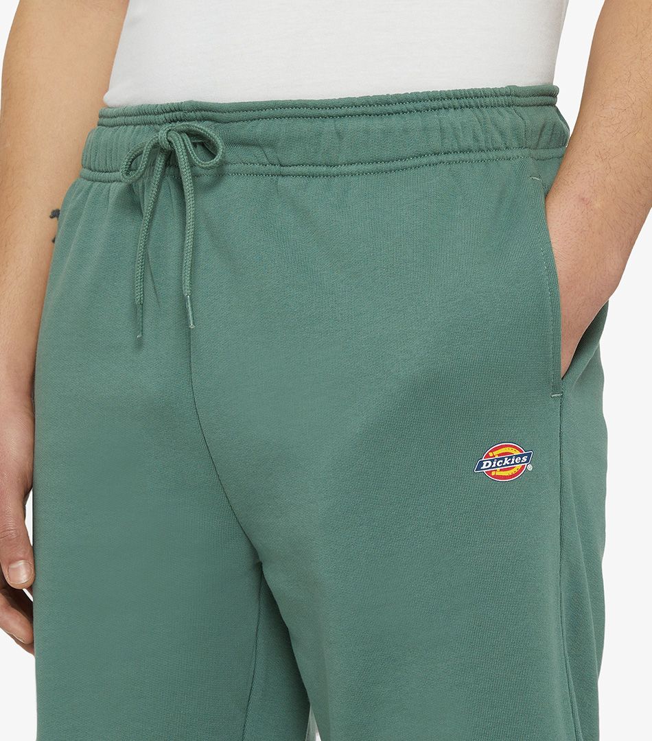 Dickies Mapleton Shorts