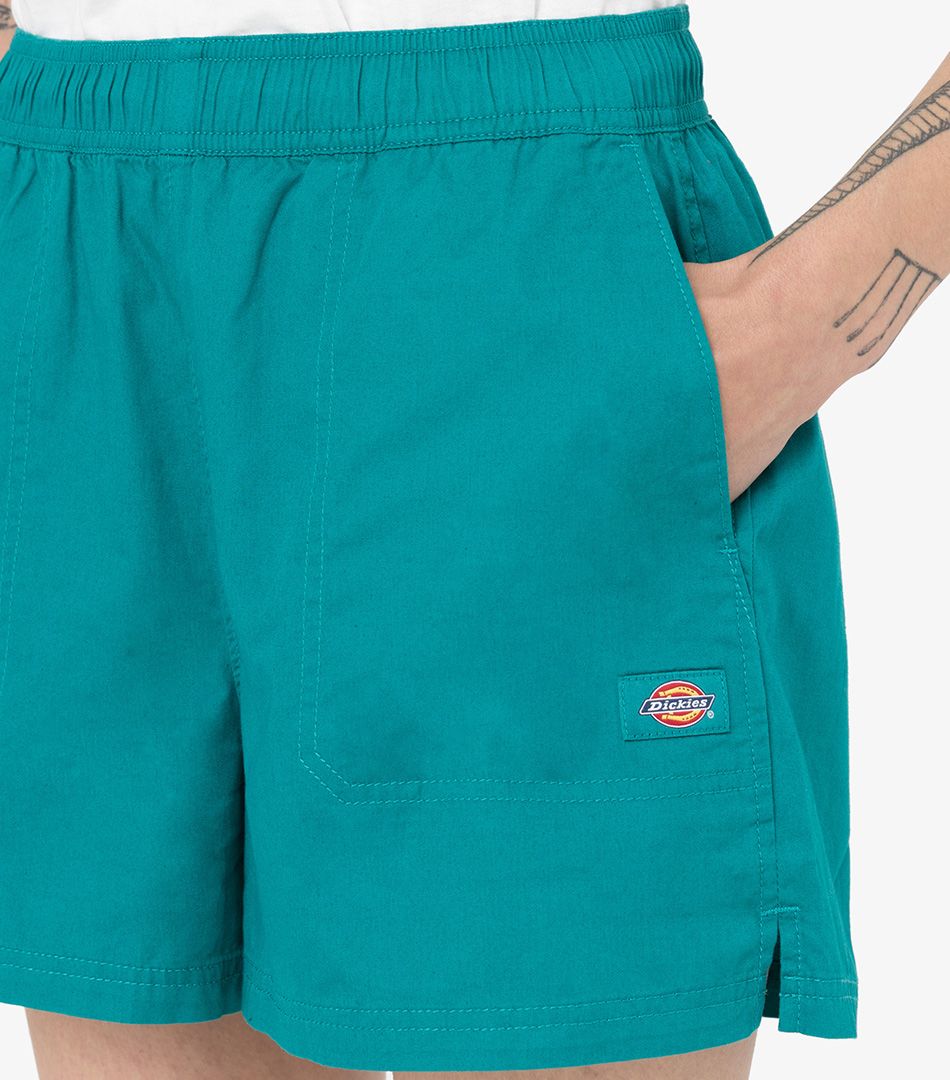 Dickies Vale Shorts