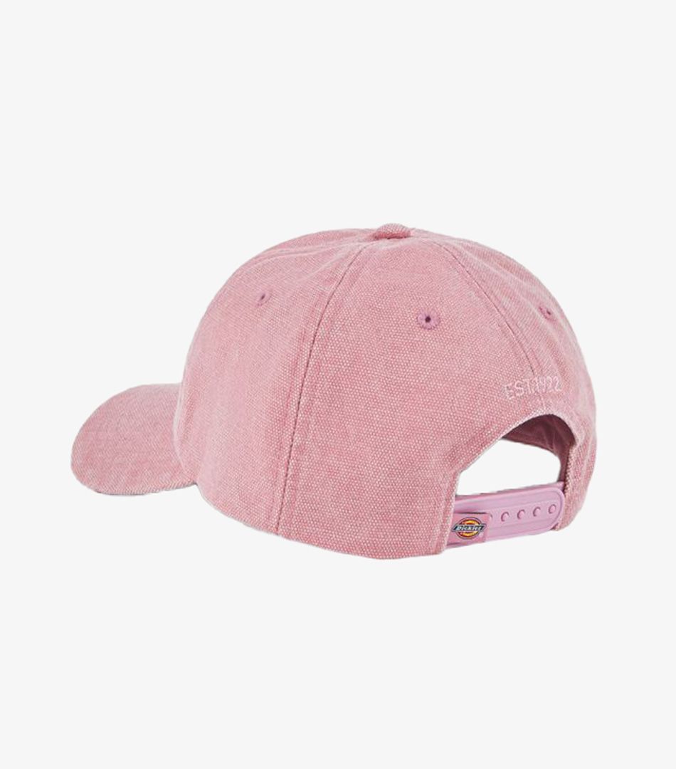 Dickies Hardwick Baseball Cap