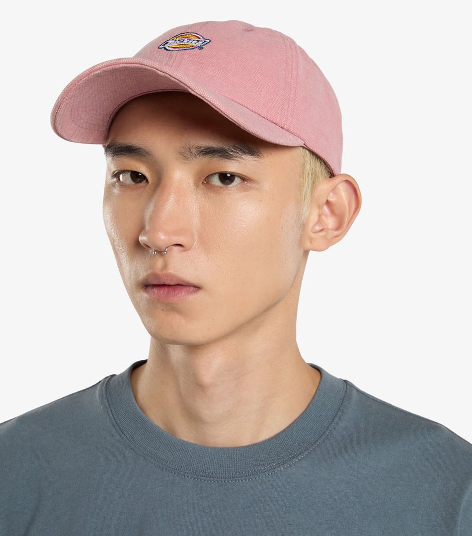 Dickies Hardwick Baseball Cap