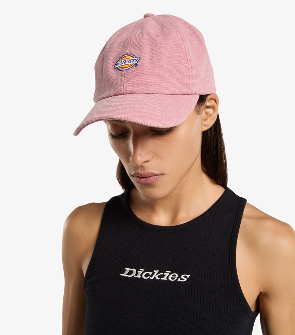 Dickies Hardwick Baseball Cap