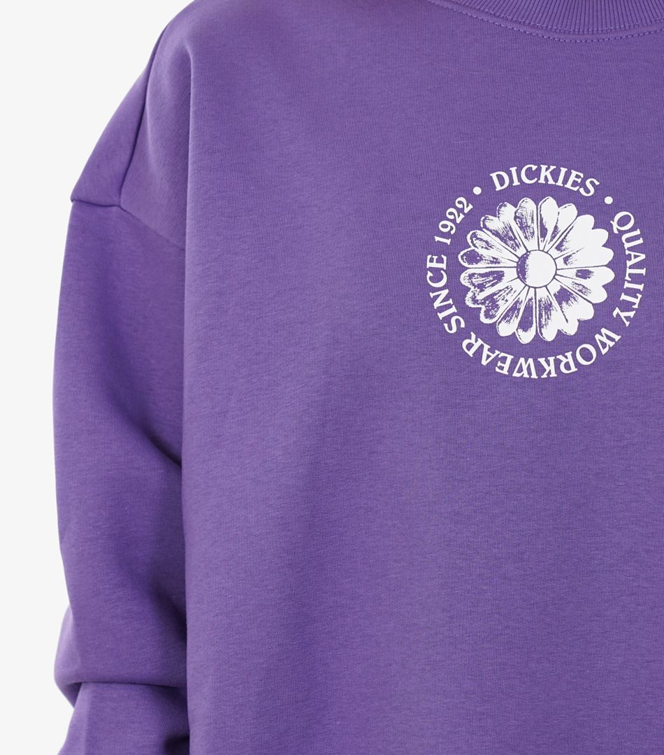 Dickies Garden Plains Sweater