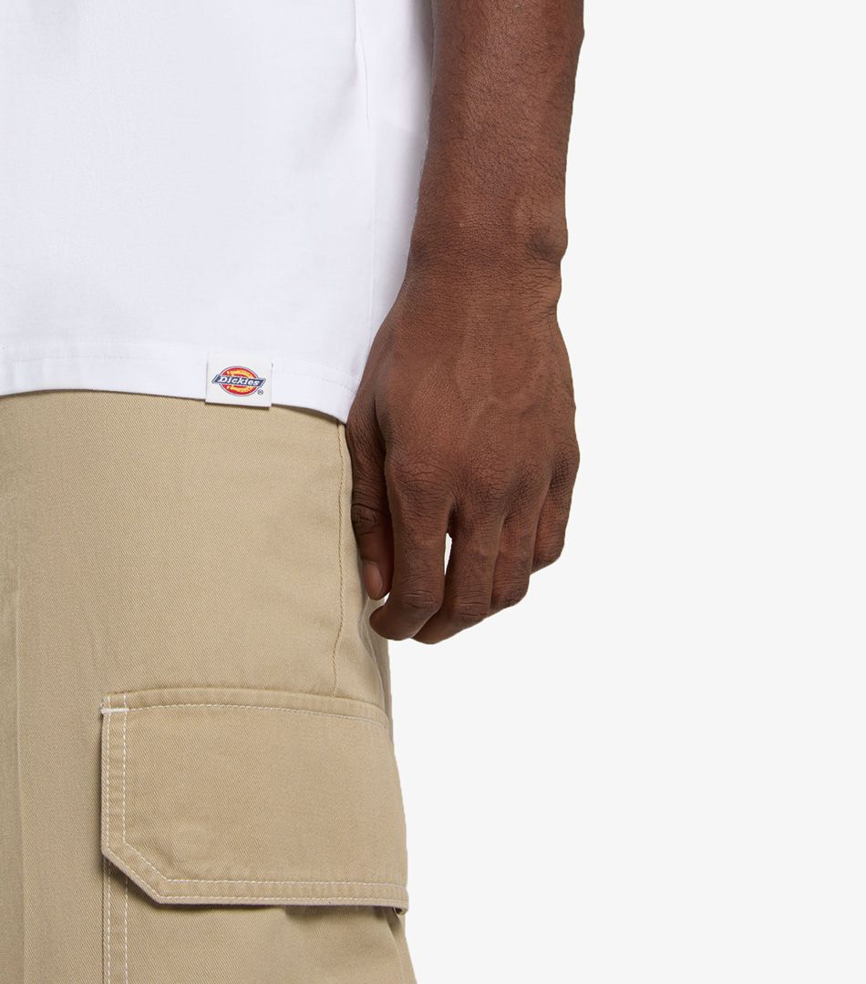 Dickies Snake T-Shirt