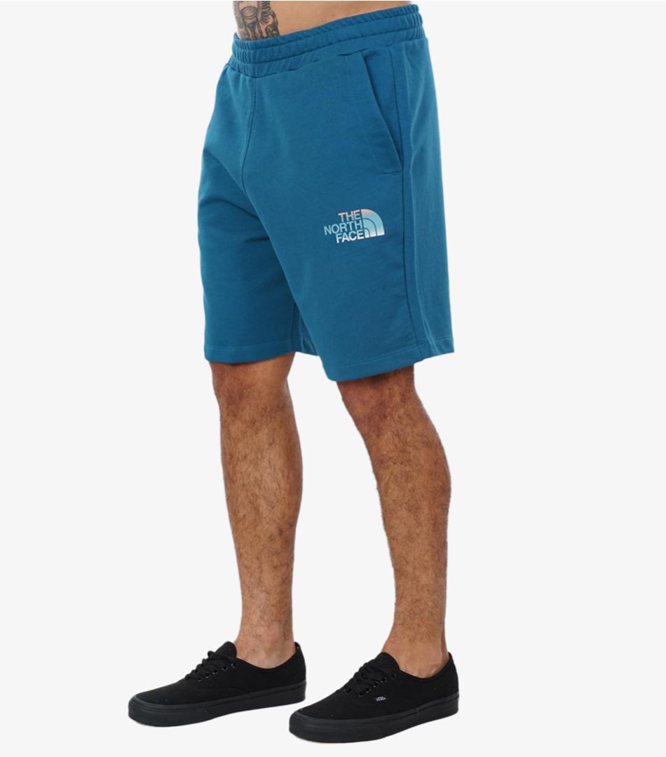 The North Face M D2 Graphic Short