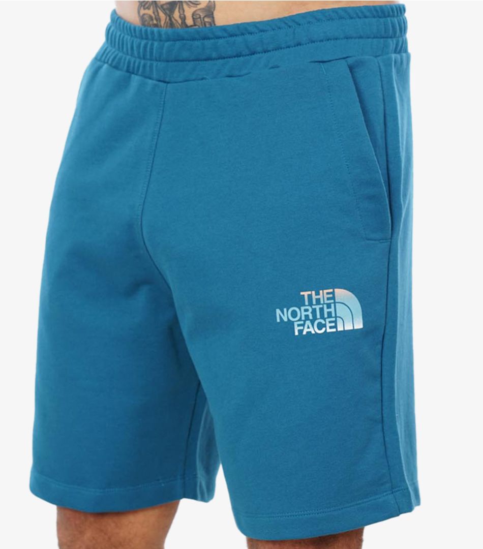 The North Face M D2 Graphic Short