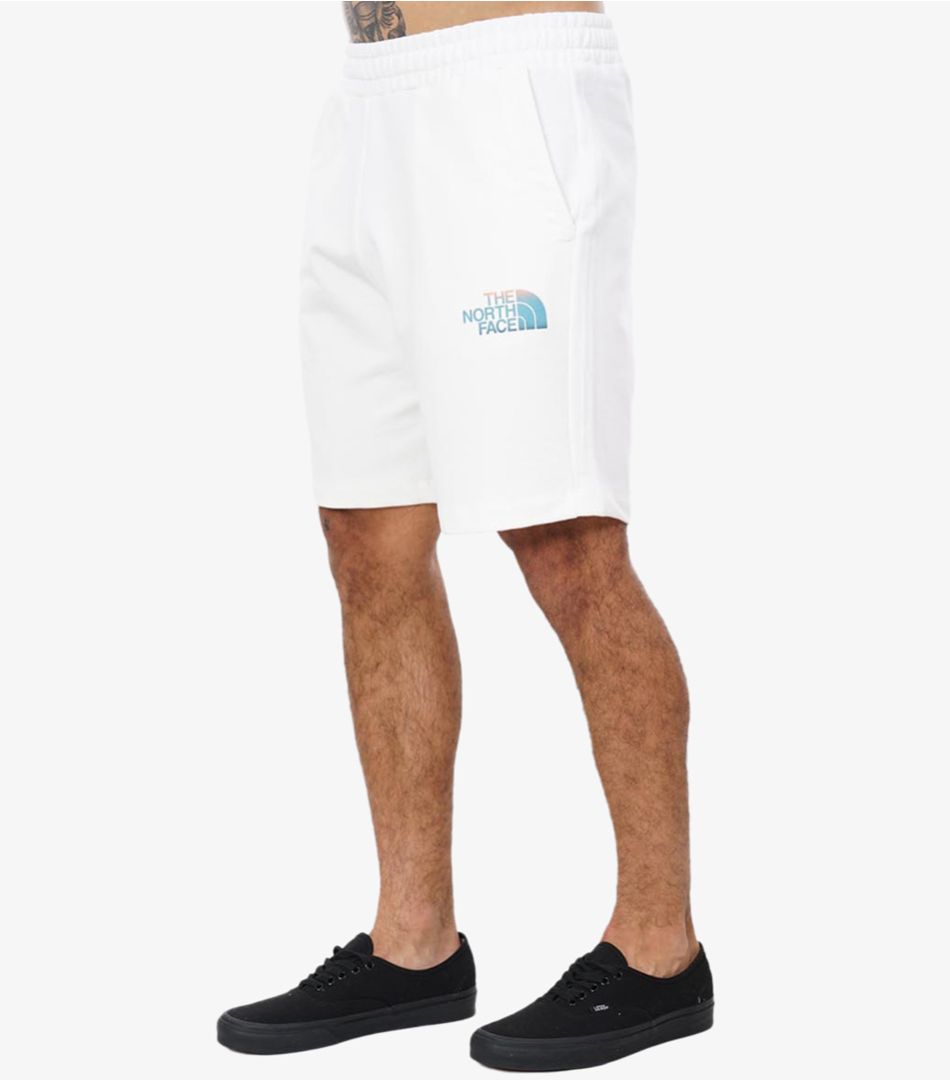 The North Face M D2 Graphic Short