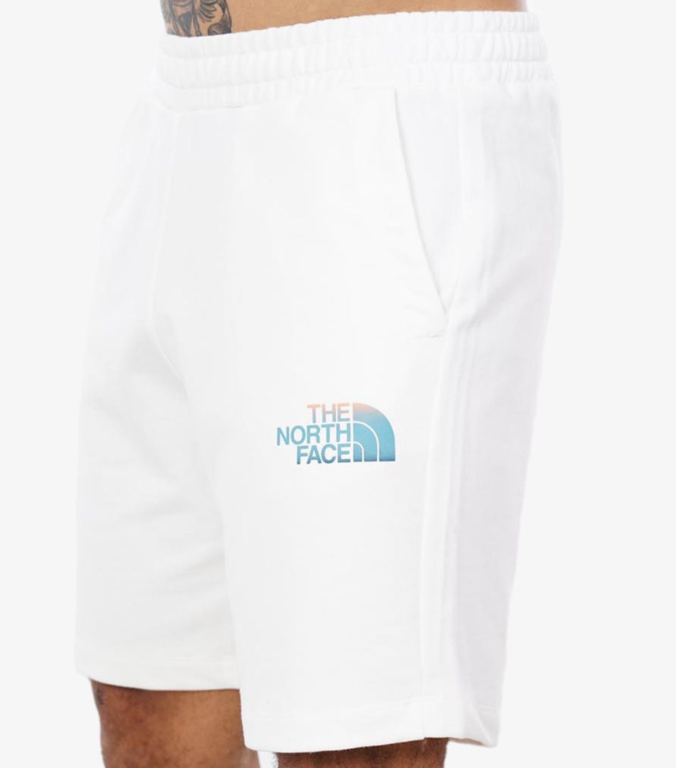 The North Face M D2 Graphic Short