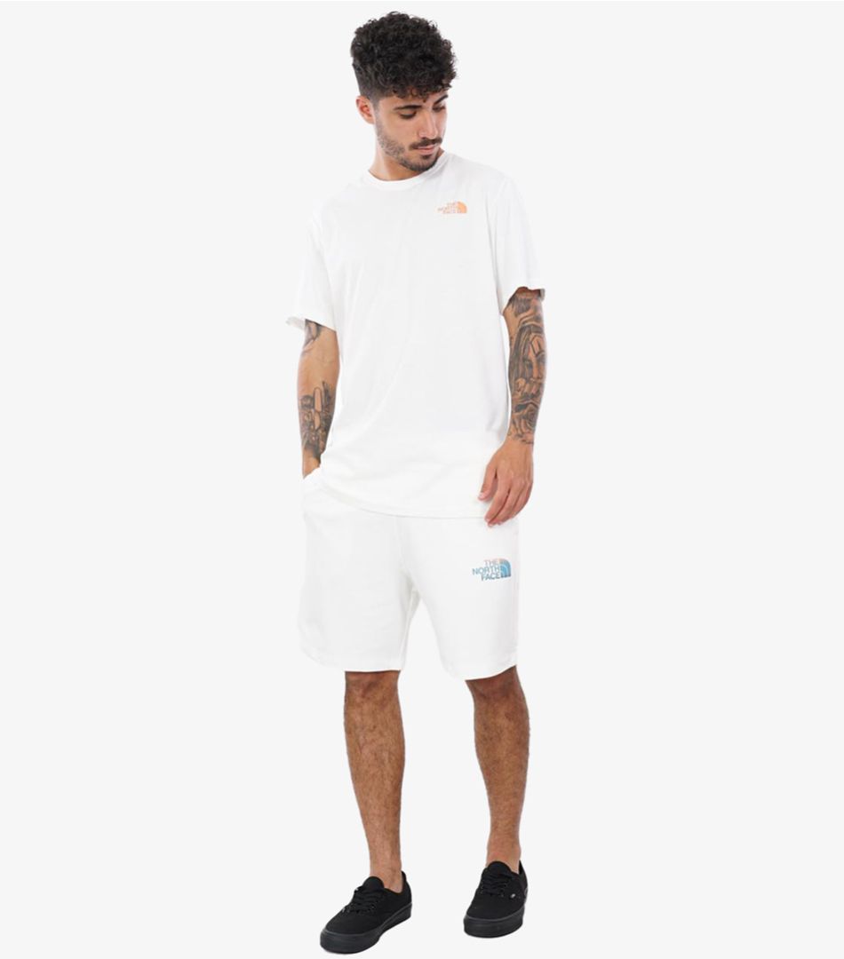 The North Face M D2 Graphic Short