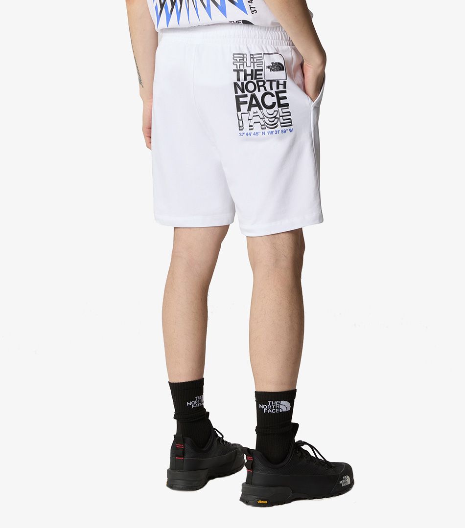 The North Face Coordinates Short