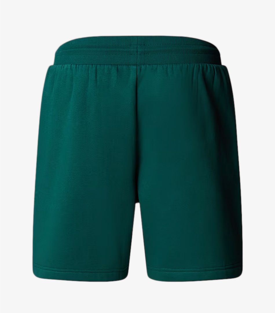 The North Face NSE Box Regular Shorts