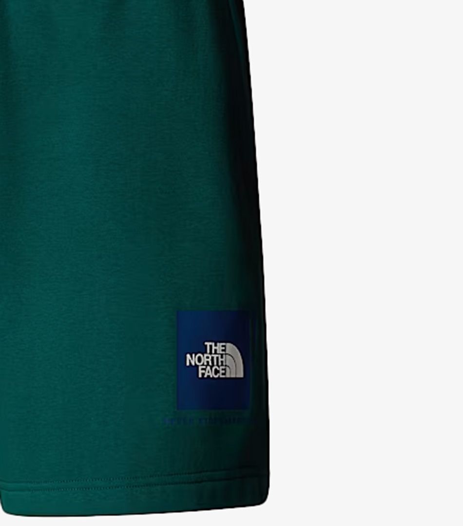 The North Face NSE Box Regular Shorts
