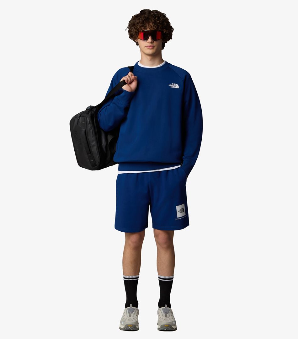 The North Face NSE Box Regular Shorts