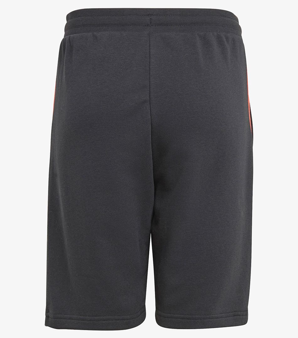 Adidas Originals Adventure Shorts