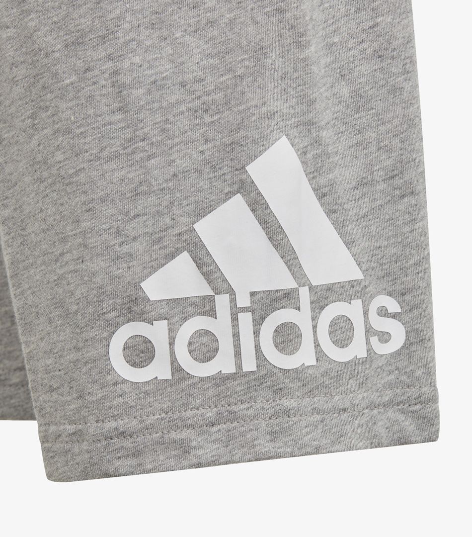 Adidas Essentials Big Logo Tee Set