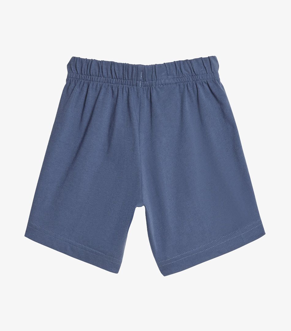 Adidas Essentials Organic Cotton Tee and Shorts