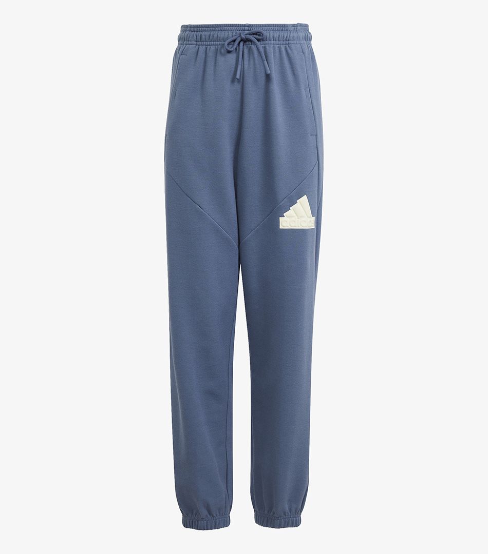 Adidas Future Icons Logo Pants