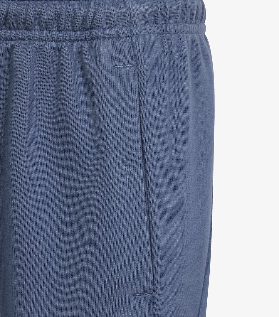Adidas Future Icons Logo Pants