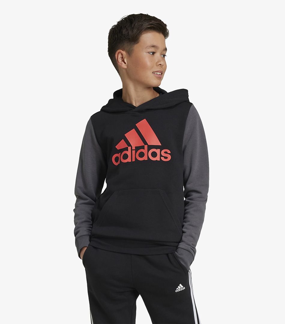 Adidas Essentials Big Logo Colorblock Hoodie