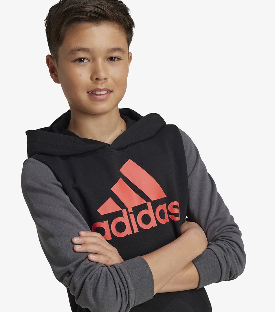 Adidas Essentials Big Logo Colorblock Hoodie