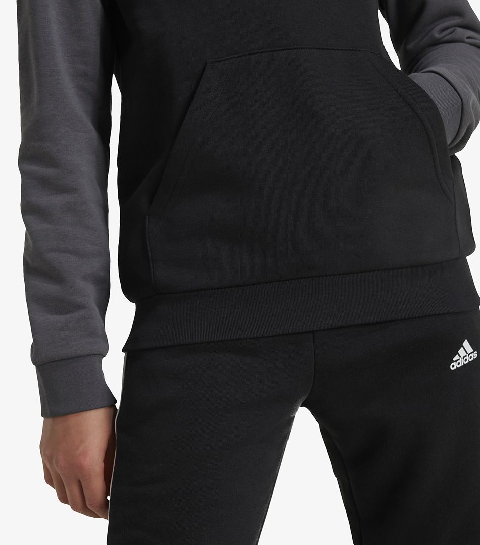 Adidas Essentials Big Logo Colorblock Hoodie