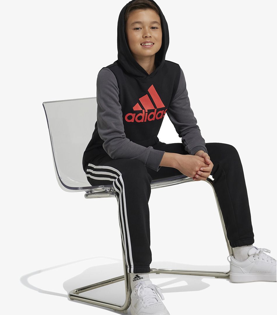 Adidas Essentials Big Logo Colorblock Hoodie