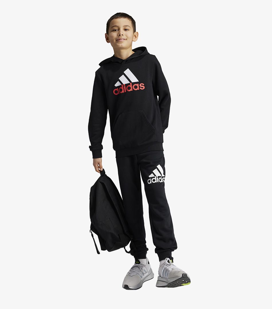 Adidas Big Logo 2 Hoodie