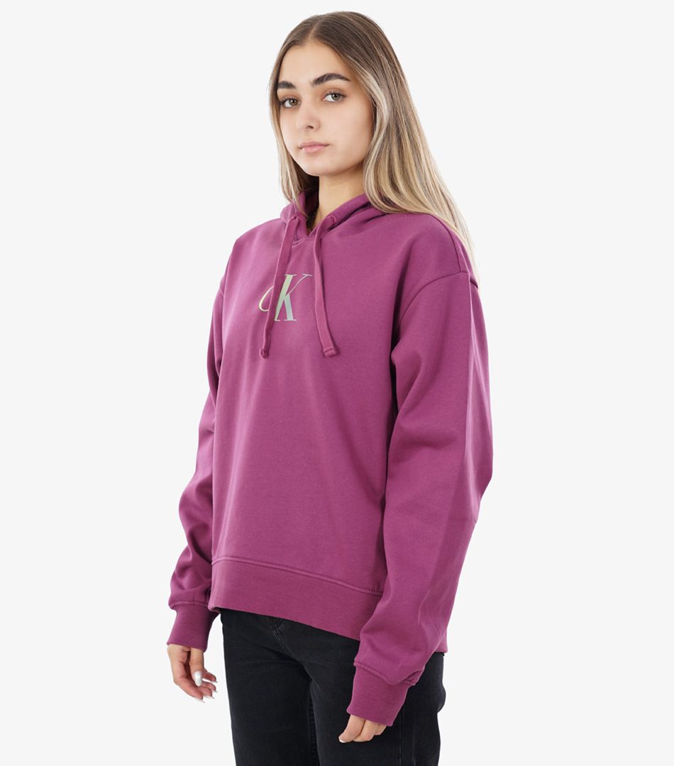 Calvin Klein Gtadient CK Hoodie