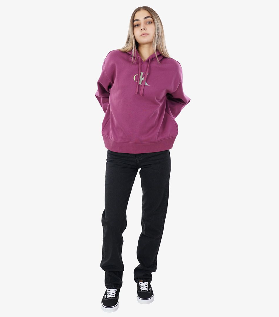 Calvin Klein Gtadient CK Hoodie