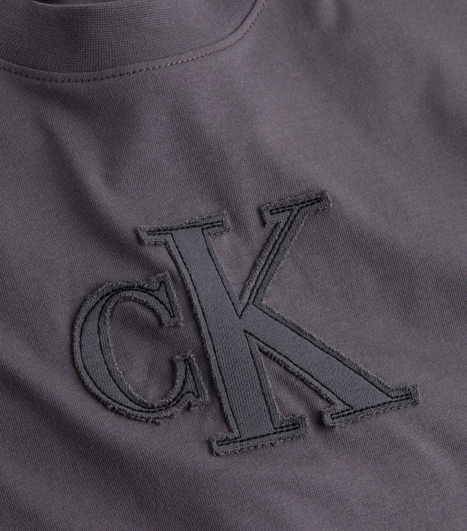 Calvin Klein Applique Regular Tee