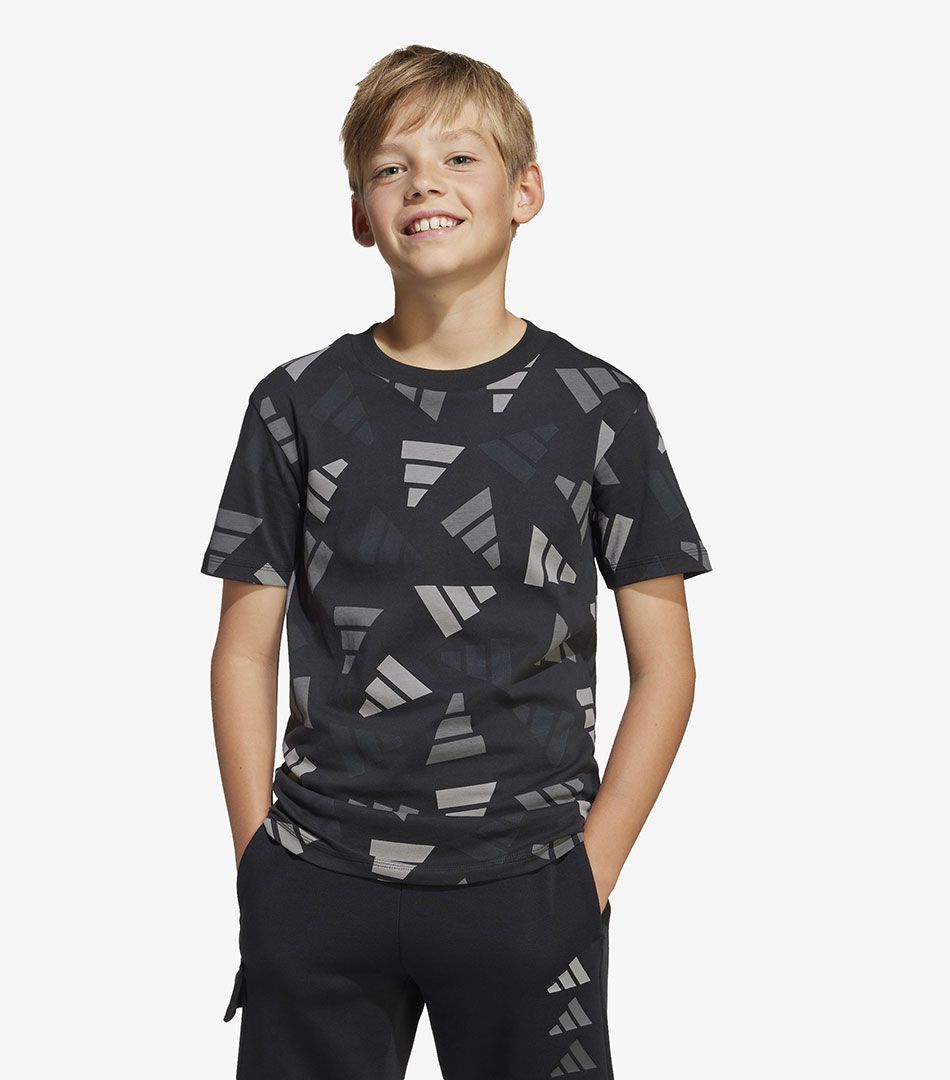 Adidas Seasonal Essentials Logo Celebration Tee