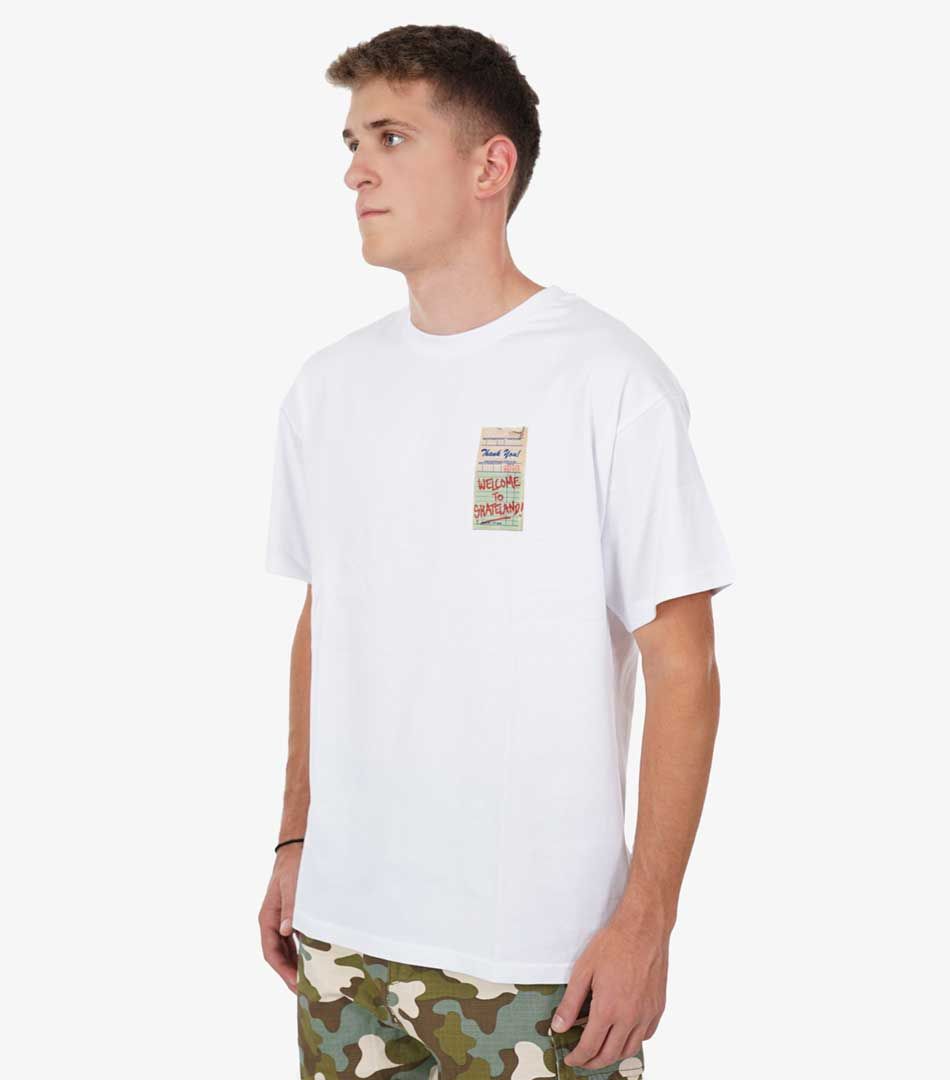 Zoo York Icecream Tee